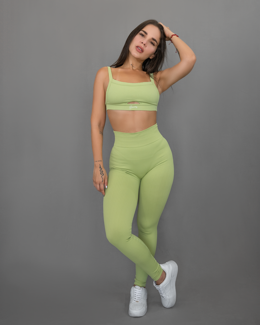 Set Ninfa